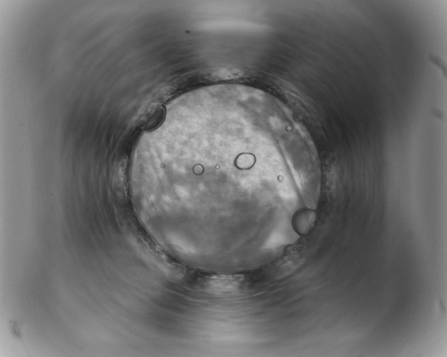 X0000102410373200808221917