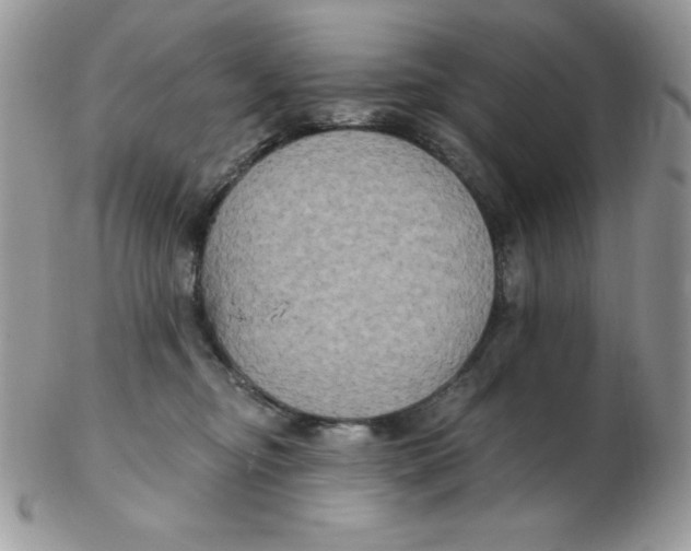 X0000102410374200808221917