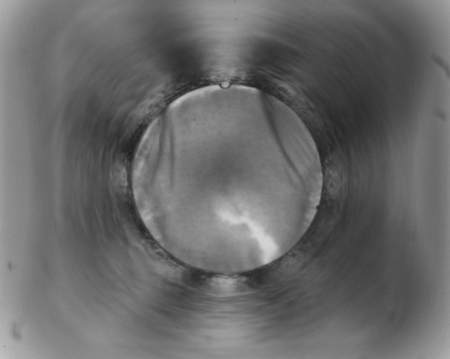 X0000102410375200808221917