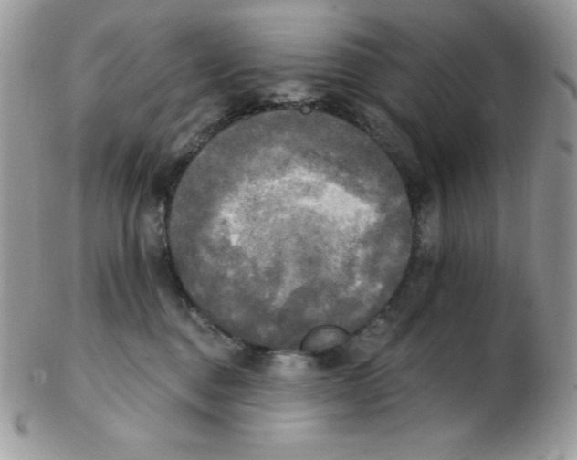 X0000102410376200808221917