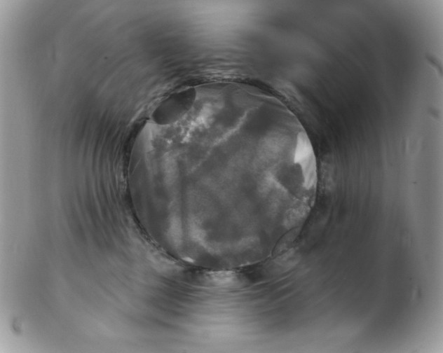 X0000102410377200808221917