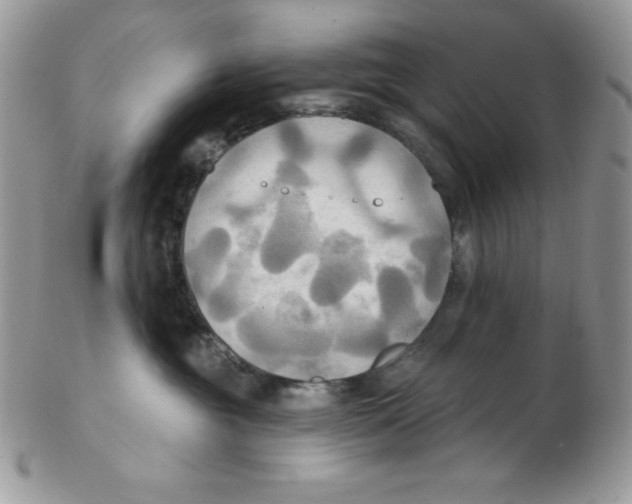 X0000102410381200808221917