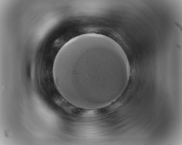 X0000102410382200808221917