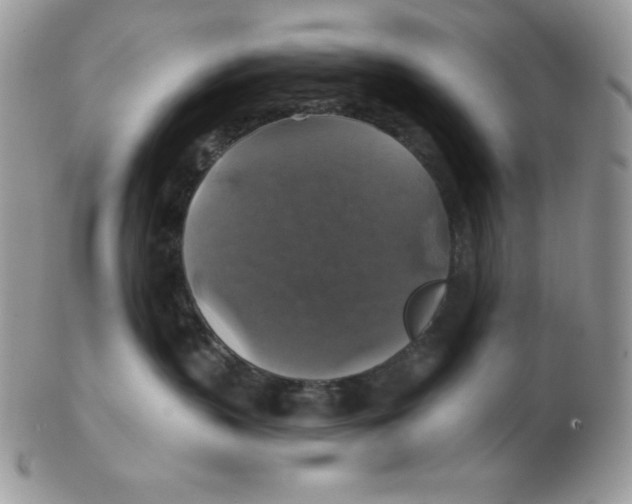 X0000102410383200808221917