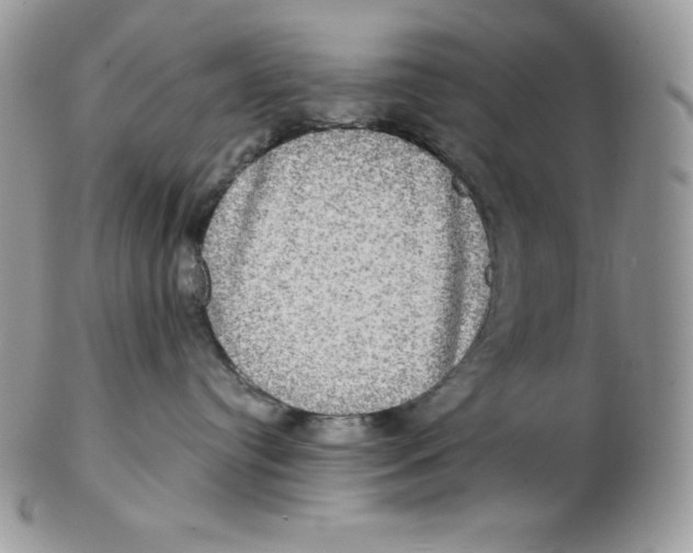 X0000102410384200808221917