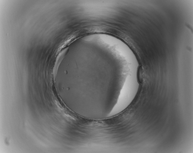 X0000102410386200808221916