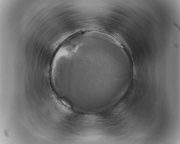 X0000102410389200808221916