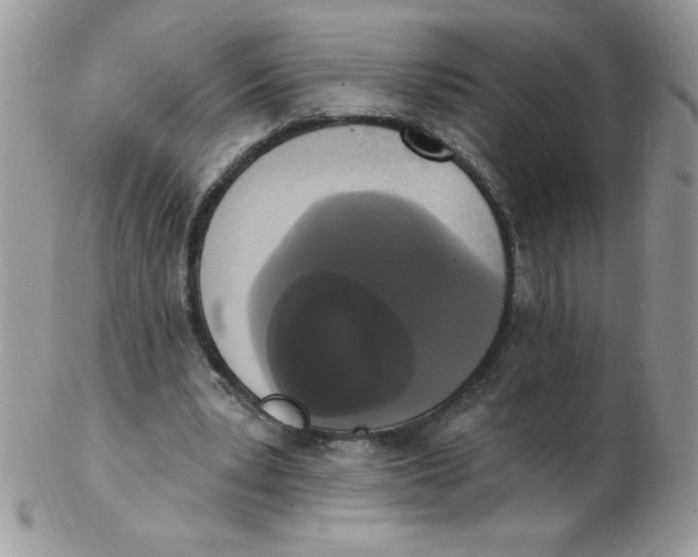 X0000102410391200808221916