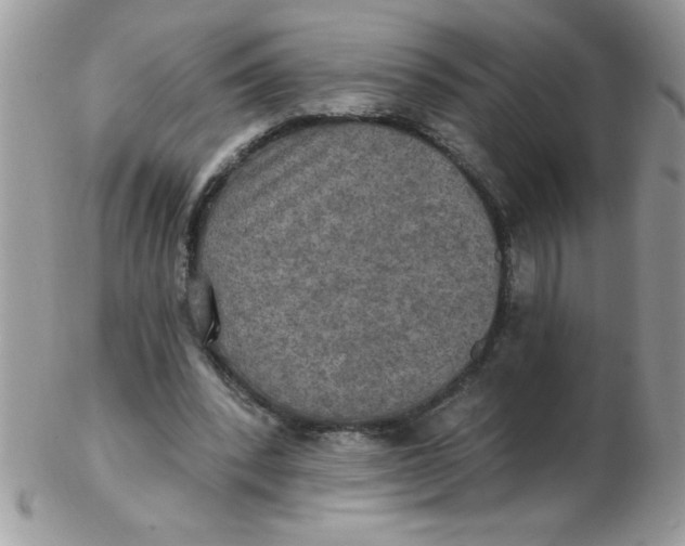 X0000102410392200808221916