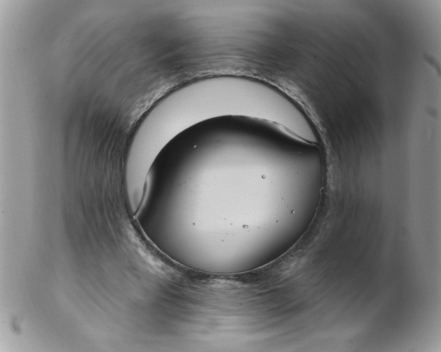 X0000102410393200808221916