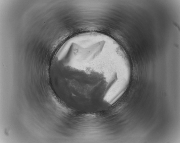 X0000102410394200808221916