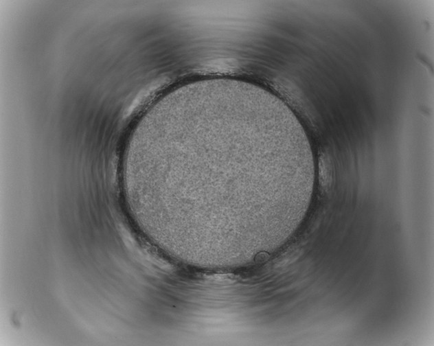 X0000102410396200808221916