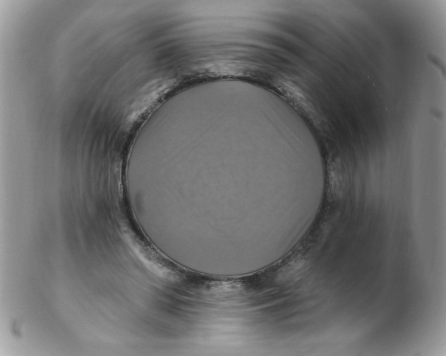 X0000102410398200808221916