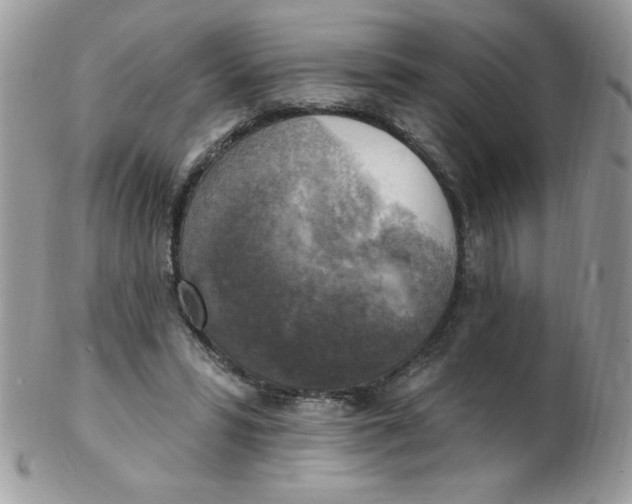 X0000102410399200808221916