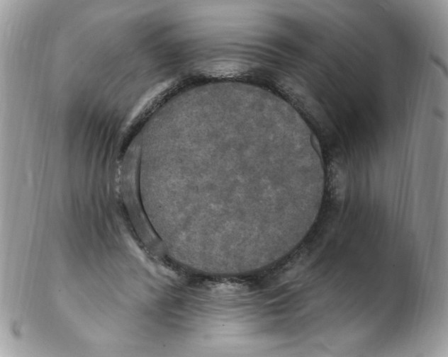 X0000102410400200808221916