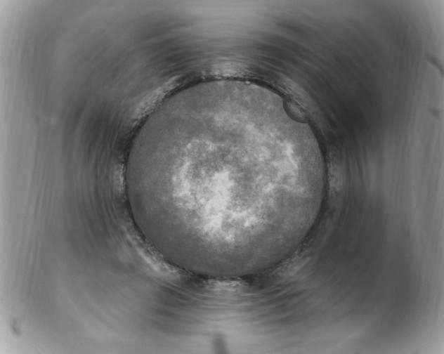 X0000102410401200808221916