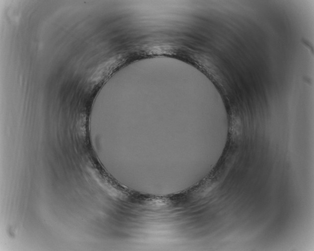 X0000102410402200808221916