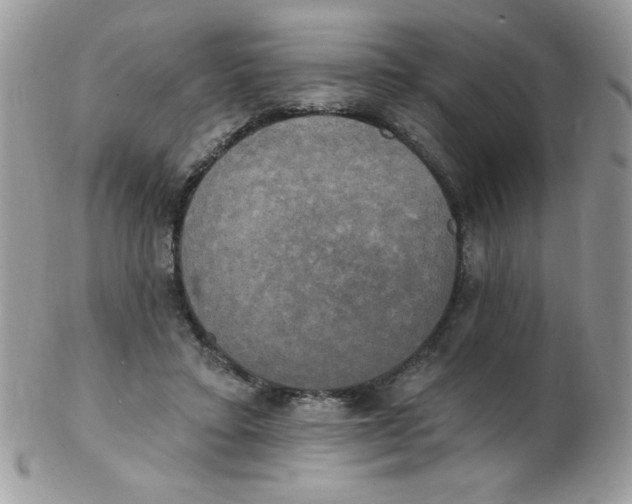 X0000102410403200808221916