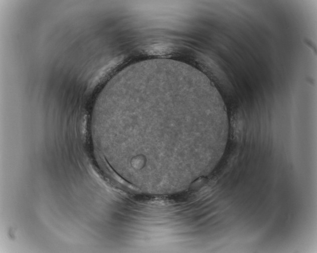 X0000102410404200808221916