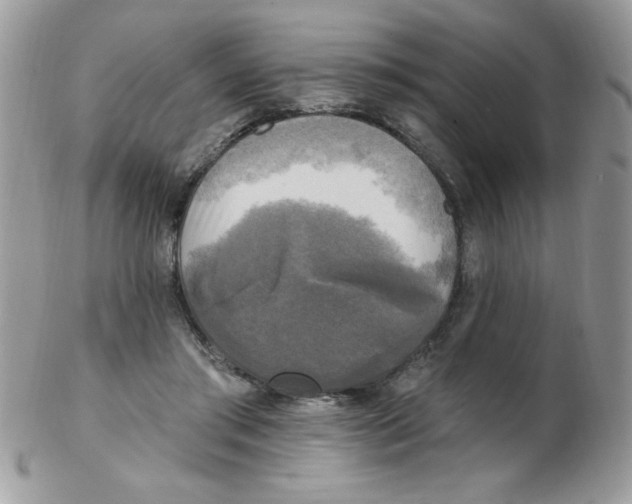 X0000102410405200808221916