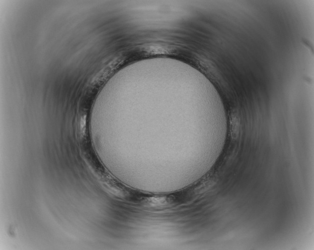 X0000102410406200808221916