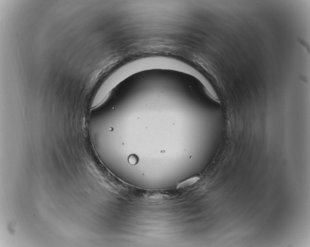 X0000102410407200808221916