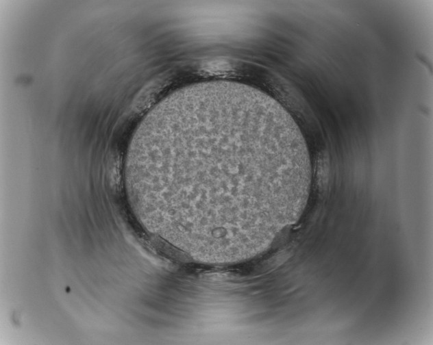 X0000102410408200808221916