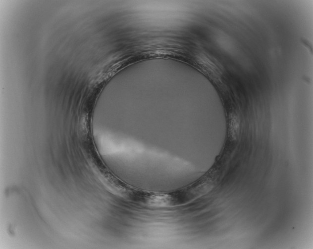 X0000102410410200808221916