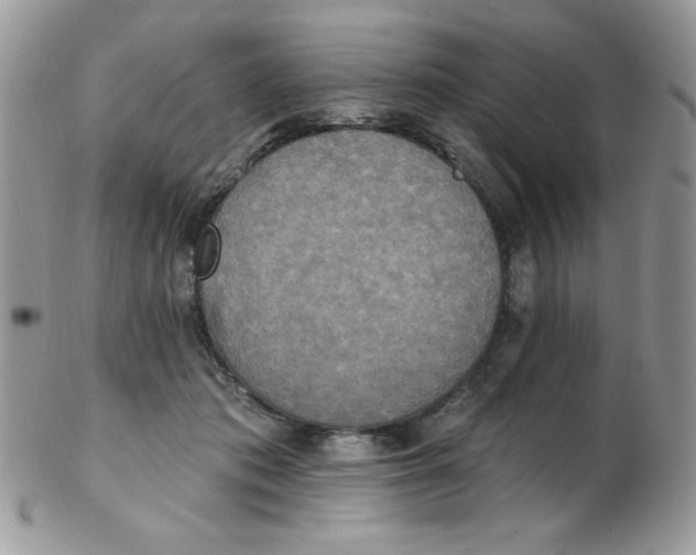 X0000102410413200808221916