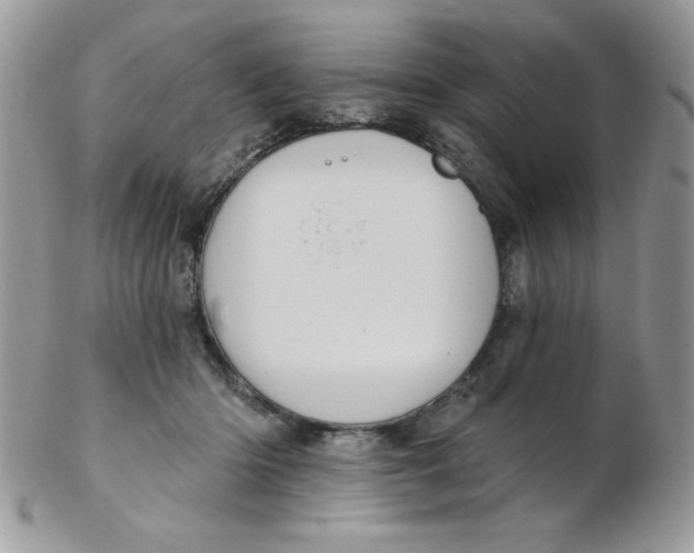 X0000102410414200808221916