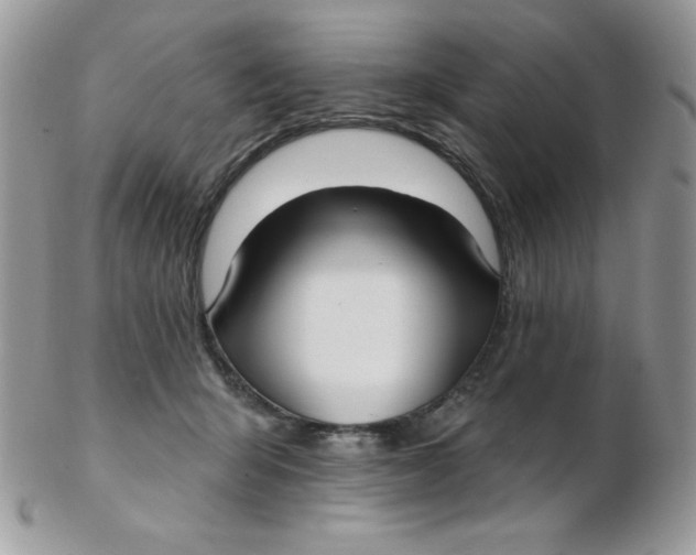 X0000102410415200808221916