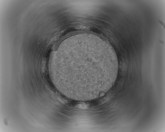 X0000102410416200808221916