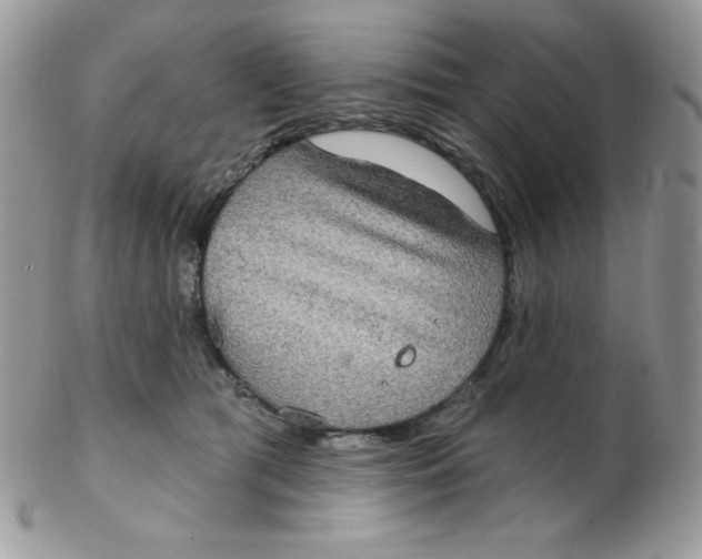 X0000102410417200808221916