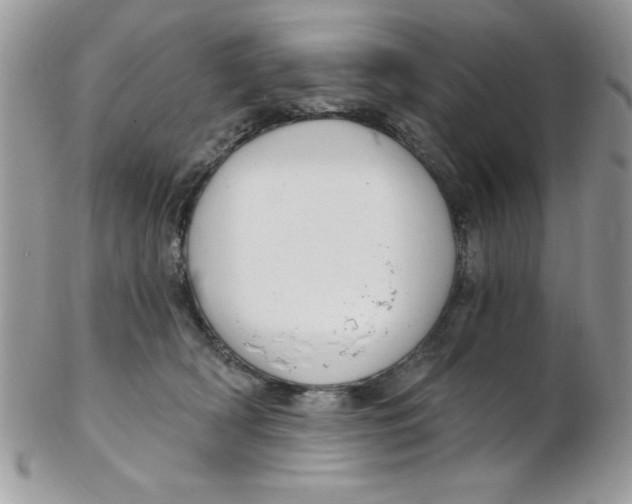 X0000102410418200808221916