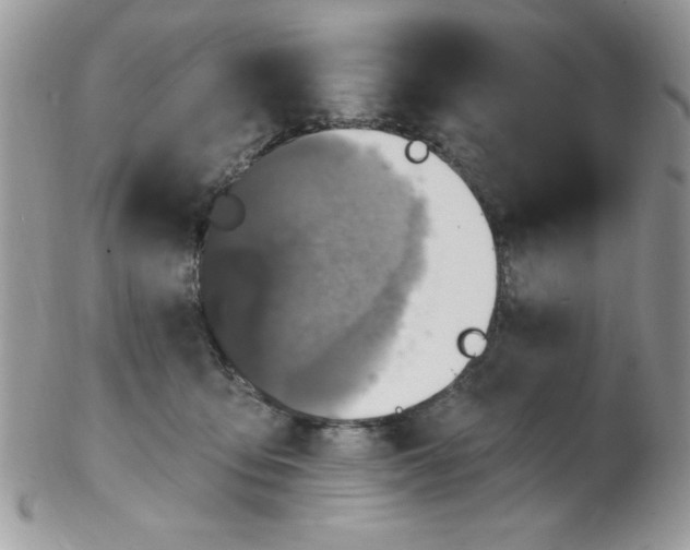 X0000102410419200808221916