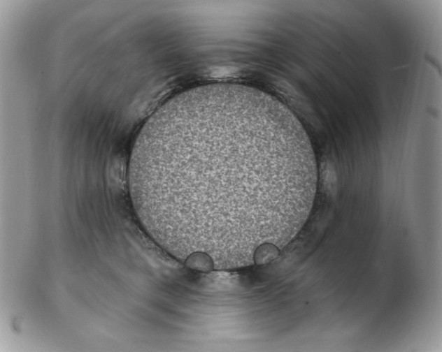 X0000102410421200808221916