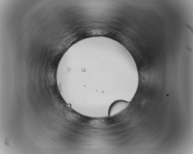 X0000102410422200808221916