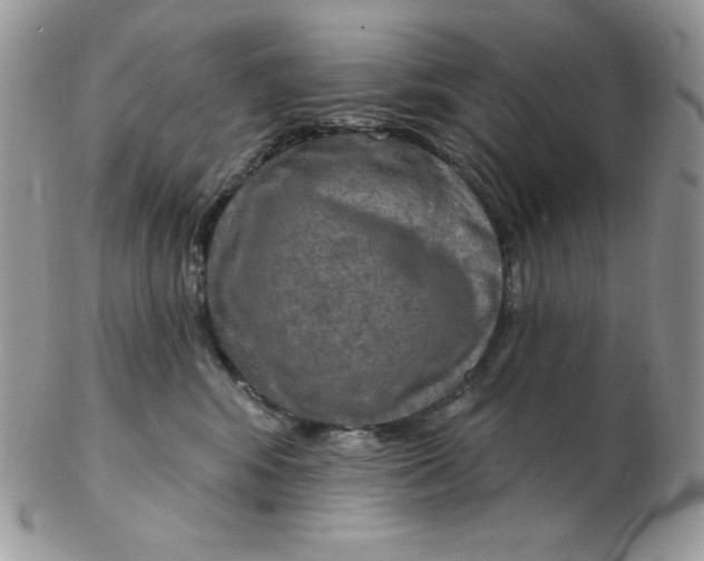 X0000102410424200808221916