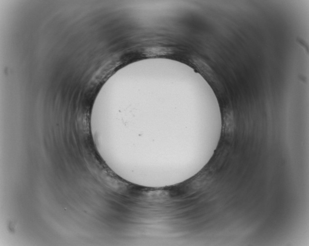 X0000102410426200808221916