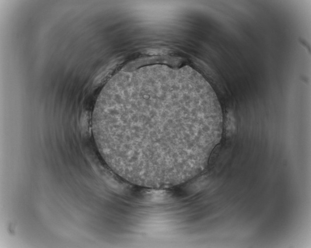 X0000102410428200808221915