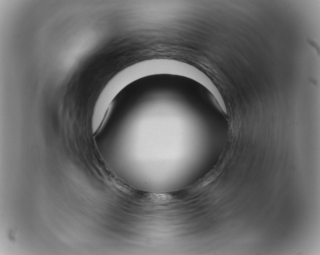 X0000102410429200808221915