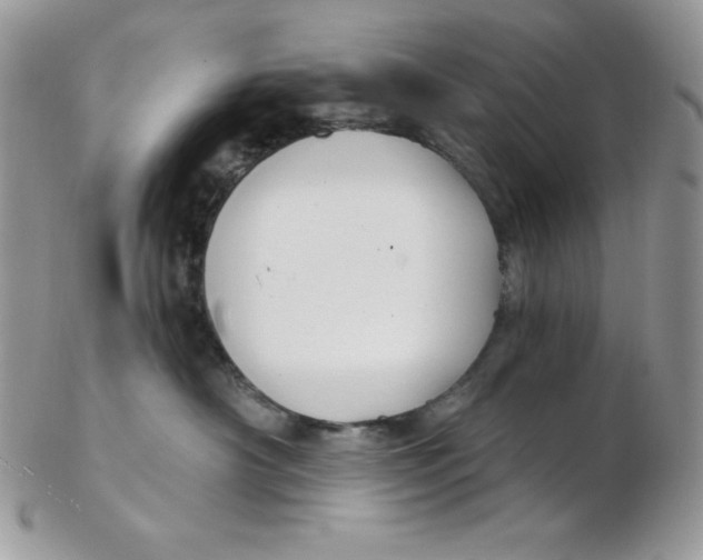 X0000102410430200808221915