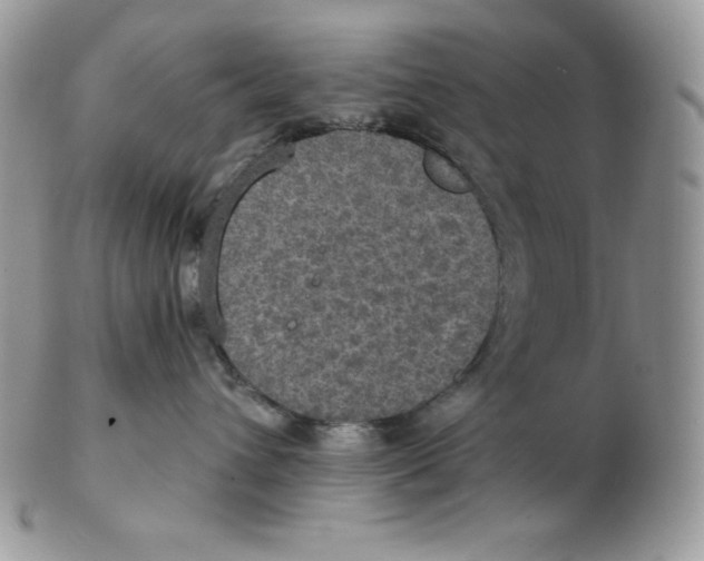 X0000102410432200808221915