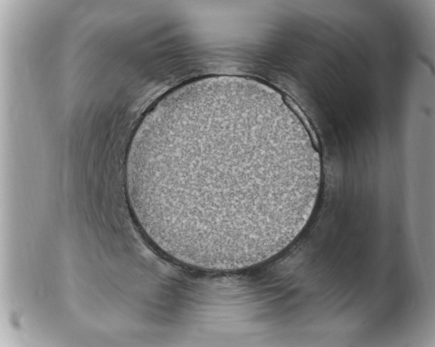 X0000102410433200808221915