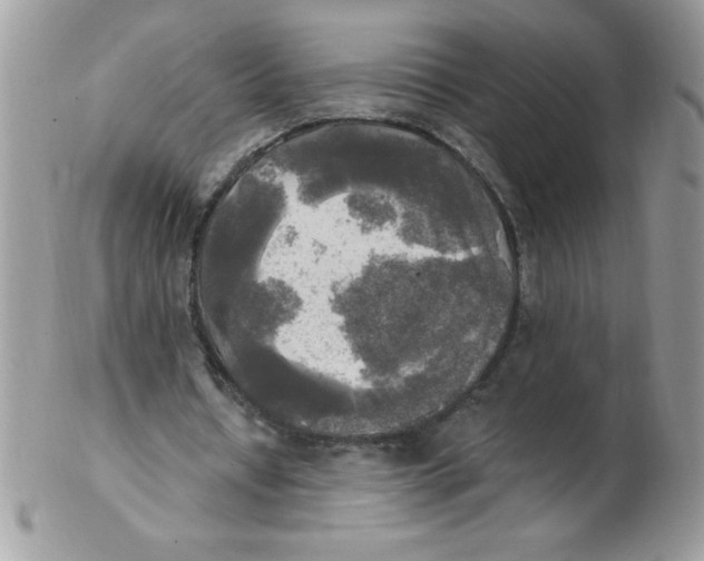 X0000102410434200808221915