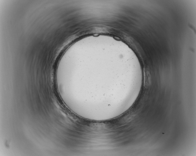 X0000102410435200808221915