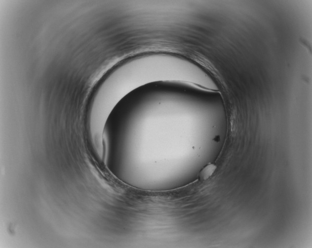 X0000102410436200808221915