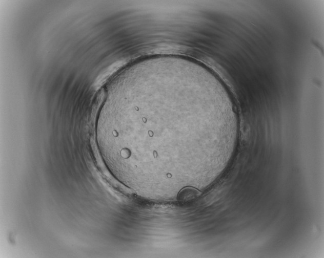 X0000102410437200808221915