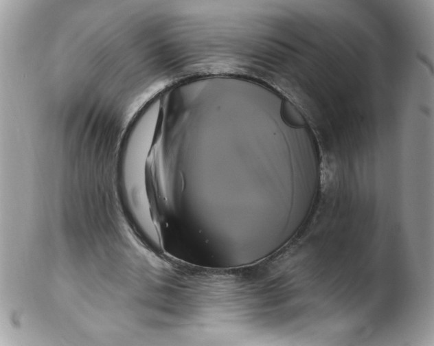 X0000102410438200808221915