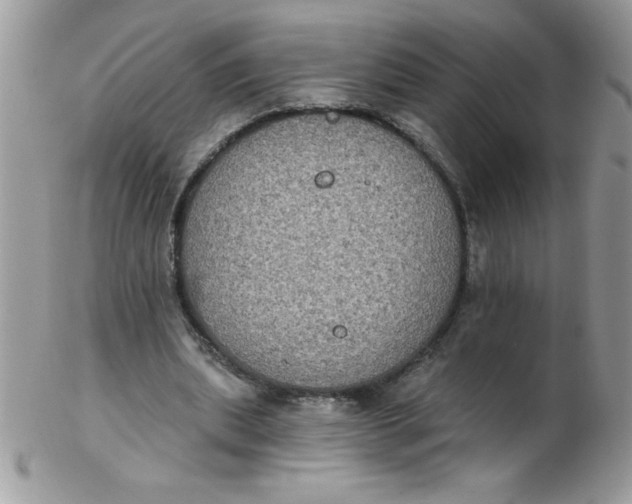 X0000102410439200808221915